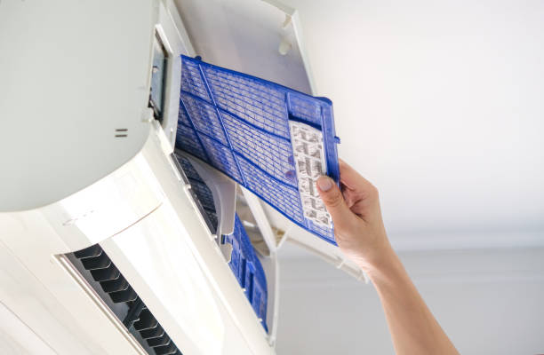 Best Air Vent Cleaning Services  in Greybull, WY